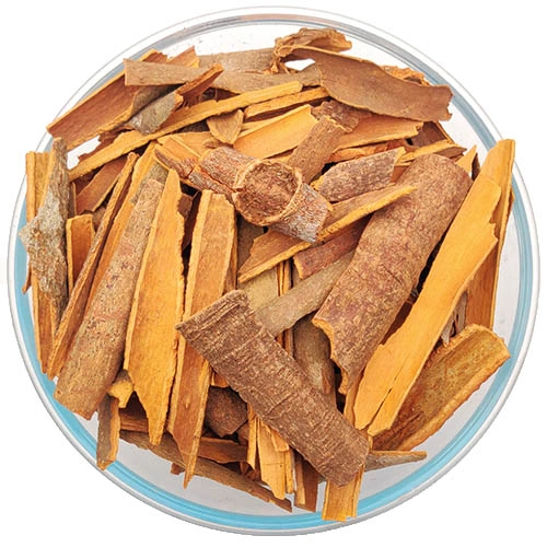 Pattai Cinnamon Bark